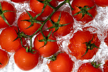 Fresh Tomatoes Splashing in Water Overhead View