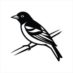 Vibrant Tanager Bird Illustration on White