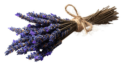 Dried Lavender Bundle, isolated on transparent background