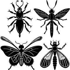 set of black and white insects