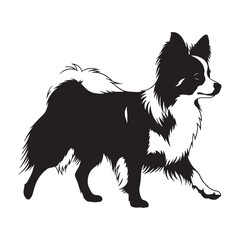 Obraz premium Beautiful Papillon digital black image, an elegant graphic for all your creative projects - Papillon silhouette - Papillon Vector - Silhouette of Papillon - dog silhouette