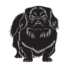 Regal Pekingese black vector graphic, reflecting its noble and dignified temperament - Pekingese silhouette - Pekingese Vector - Silhouette of Pekingese - dog silhouette

