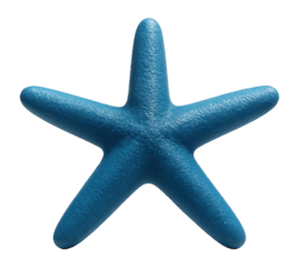 Blue sea star with five thick, cylindrical arms and a slightly rough surface