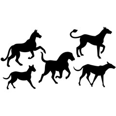 silhouettes of horses