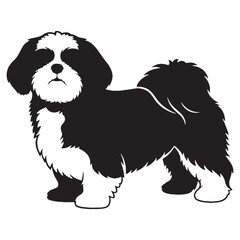 Refined Shih Tzu digital black graphic, a high-quality asset for all your digital creations - Shih Tzu silhouette - Shih Tzu Vector - Silhouette of Shih Tzu - dog silhouette

