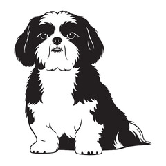 Authentic Shih Tzu canine digital black visual, accurately representing this beloved breed - Shih Tzu silhouette - Shih Tzu Vector - Silhouette of Shih Tzu - dog vector

