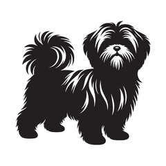 Beautiful Shih Tzu digital black image, an elegant graphic for all your creative projects - Shih Tzu silhouette - Shih Tzu Vector - Silhouette of Shih Tzu - dog silhouette

