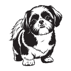 Charming Shih Tzu digital black vector artwork, ideal for a variety of artistic projects - Shih Tzu silhouette - Shih Tzu Vector - Silhouette of Shih Tzu - dog silhouette

