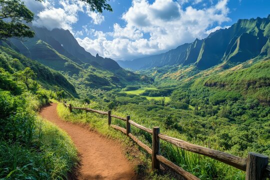 Lush valley vista with hiking trail and wooden fence.