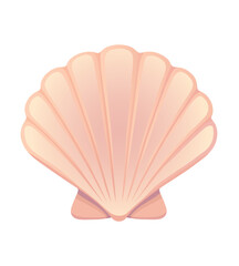 Elegant Pink Seashell A Coastal Icon
