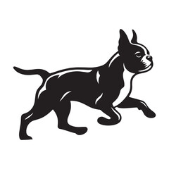 Friendly Boston Terrier black vector graphic, reflecting its amiable and spirited temperament - Boston Terrier silhouette - Boston Terrier Vector - Silhouette of Boston Terrier - dog silhouette

