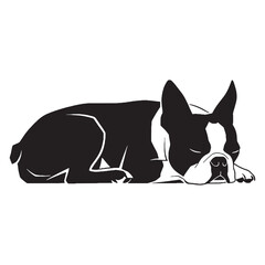 Charming Boston Terrier digital black vector artwork, ideal for a variety of artistic projects - Boston Terrier silhouette - Boston Terrier Vector - Silhouette of Boston Terrier - dog silhouette

