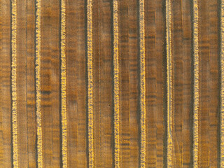 Aerial View of Harvested Crop Field at Sunset