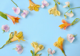 Flat lay of yellow alstroemeria and lilac sweet pea flowers forming a circular frame on blue background with copy space. Top view