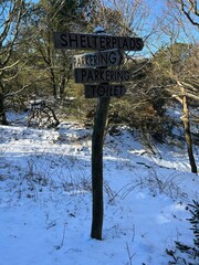 wooden road sign in the winter forest