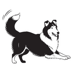 Standard Collie digital black vector, a classic and easy-to-use option for adaptation - Collie silhouette - Collie Vector - Silhouette of Collie - dog vector

