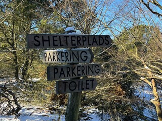 wooden road sign in the winter forest