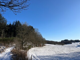 winter landscape with trees and snow