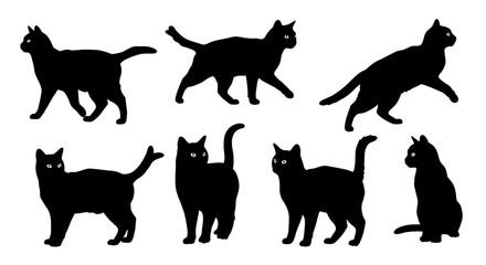 black silhouettes of cats