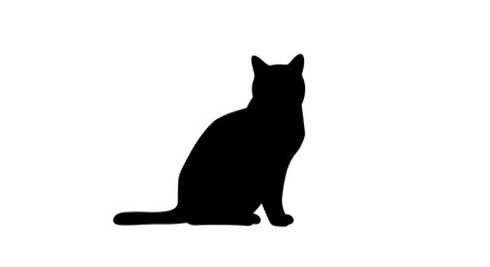 Obraz premium black cat silhouette