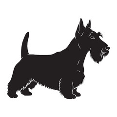 Featuring a distinct Scottish Terrier canine digital black silhouette - Scottish Terrier silhouette - Scottie Vector - Silhouette of Scottish Terrier - dog vector

