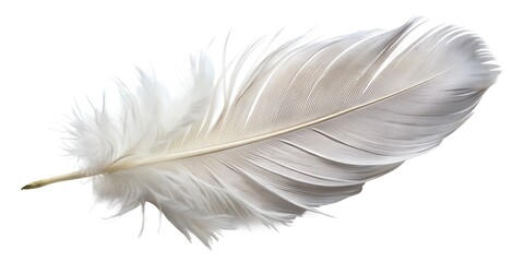 Obraz premium Soft white bird feather, isolated on a light background, highlighting its fluffy and smooth plumage