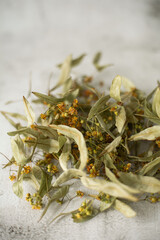 Dried linden inflorescences on white background