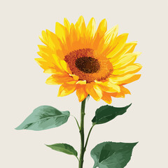 Obraz premium sunflower isolated in White Background, sunflower vector, Flat lay vector illustration