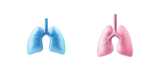 Comparison of healthy and diseased human lung in medical illustration for educational purpose