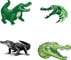 Fototapeta premium Crocodile alligator reptile vector illustration set eps