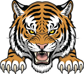 Roaring tiger cad drawing flat vector illustration, fierce front view animal with bared fangs and claws, wild predator motion sketchRoaring tiger cad drawing flat 