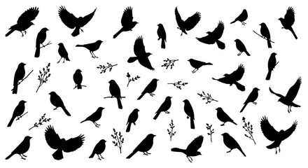 Birds silhouettes in flight and perched, set against a clean white background with leafy twigs in a wildlife montage.