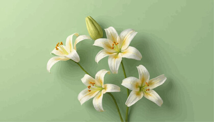 Delicate White Flowers on Green
