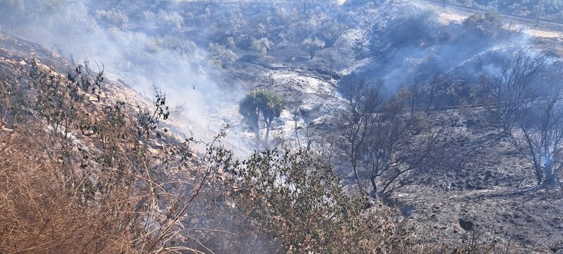 incendio