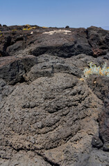 Pahoehoe lava texture close-up
