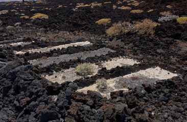 Guanche maceration pits with cemented base