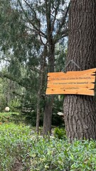 wooden sign in the forest