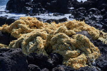 Abandoned marine rope on coastal rocks