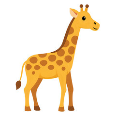 Fototapeta premium giraffe ,white background