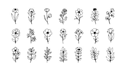Charming monochrome botanical sketches showcase delicate petals, leaves, and elegant stems in a delightful floral collection, silhouette