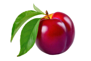 A vibrant, juicy plumcot with fresh green leaves. This studio shot highlights its rich color, perfect for healthy eating, nutrition, and fresh produce concepts.