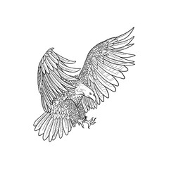 Flying Eagle in Line Art