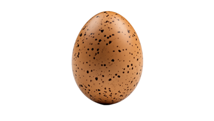 Speckled Brown Bird Egg: A Detailed Macro Photograph transparent background png