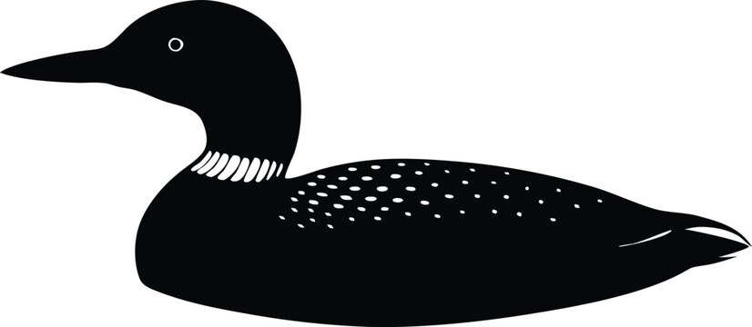  loon bird silhouette vector illustration