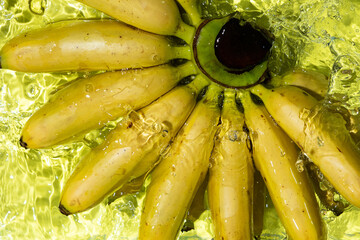 Bunch of mini baby bananas in a water splash top view