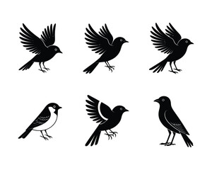 Obraz premium Minimalist Bird Silhouette Set – Black and White Vector Collection in Two Rows