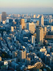 Daytime View of Tokyo's Urban Landscape