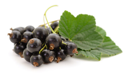 Black currants isolated.