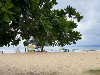 Tropical beach with palm tree and sun lounger in Thailand.