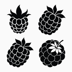 Four stylized black raspberry silhouettes with leaves and stems isolated on a transparent background for design isolated on transparent background
